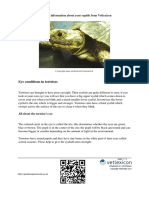 Eye Conditions in Tortoises From Vetlexicon Reptile