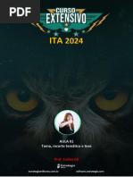 Aula 01 - RED - ITA - 2024