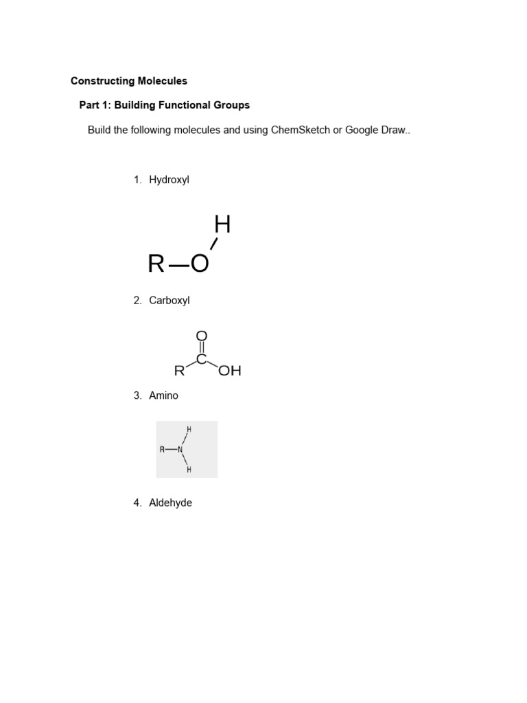 Constructing Organic Molecules Guide | PDF | Carbohydrates | Proteins