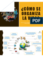 Niveles Organización