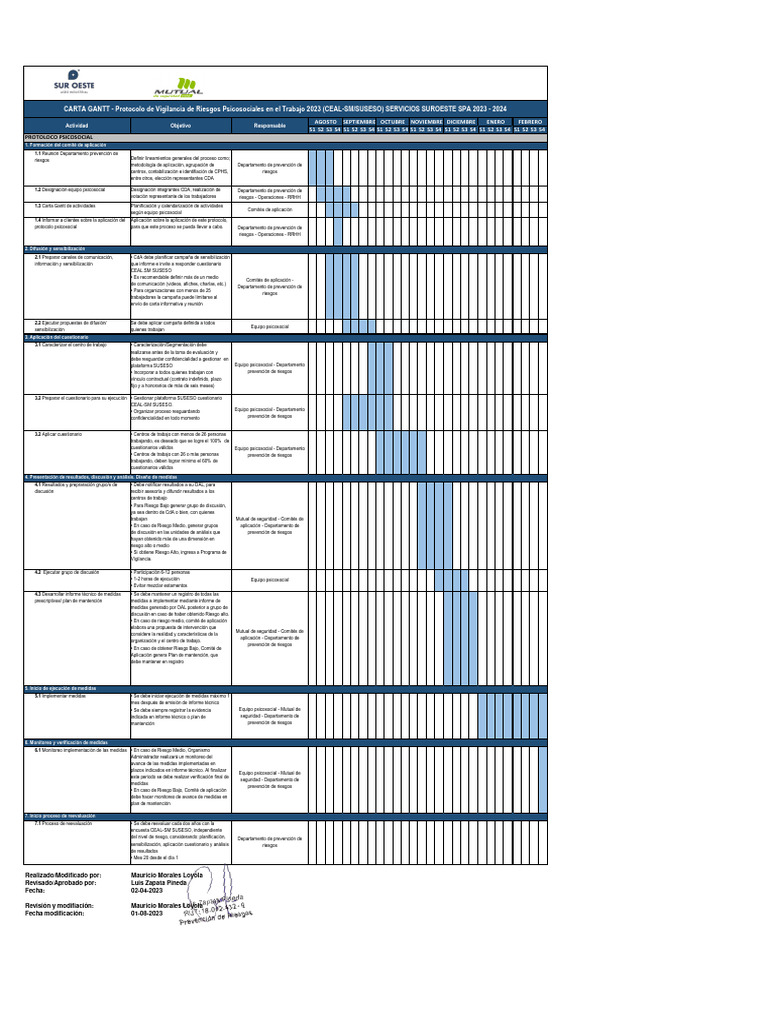 Protocolo De Riesgo Psicosocial Ejemplos
