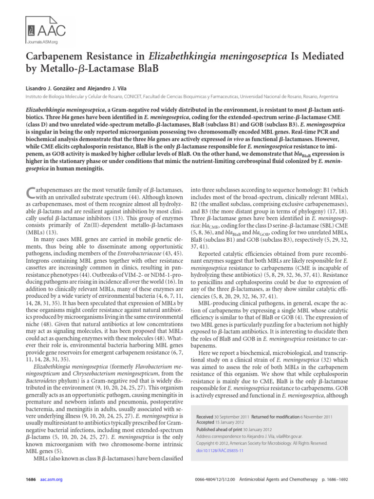 Carbapenem Resistance in Elizabethkingia | PDF | Beta Lactamase ...