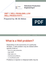 Unit 1 - Well Problems Low Well Productivity