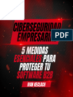 Ciberseguridad Empresarial Linkedin 5 Medidas Esenciales para Proteger Tu Software B2B Ivan Keclach