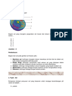 Soal Biologi Kelas 11 Semester 1 PDF