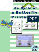 Life Cycle Of: A Butterfly Printables