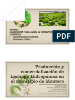 Diapositiva Producción y Cmercialización de Lechuga Hidroponica en El Municipio de Montero