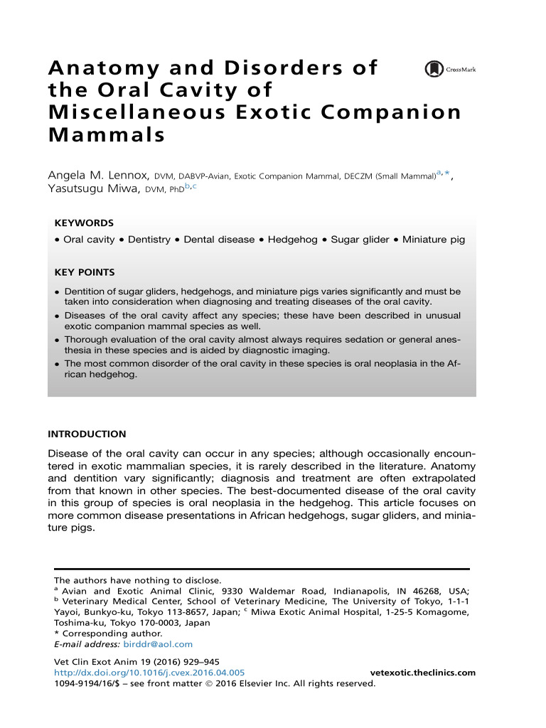 Picture of Anatomy and Disorders of The Oral Cavity of Miscellaneous Exotic ...