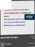 HMP Shunt Pathway
