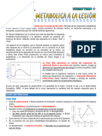 Respuesta Metabolica A La Agresión