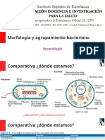 Morfología y Agrupamiento Bacteriano