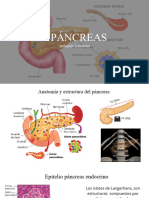 Presentacion Salud Del Cuerpo Humano Ilustracion Rosa