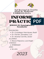 Informe Práctico S01