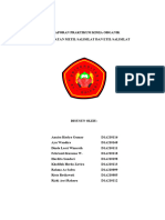 Laporan Praktikum Kimia Organik II Percobaan V