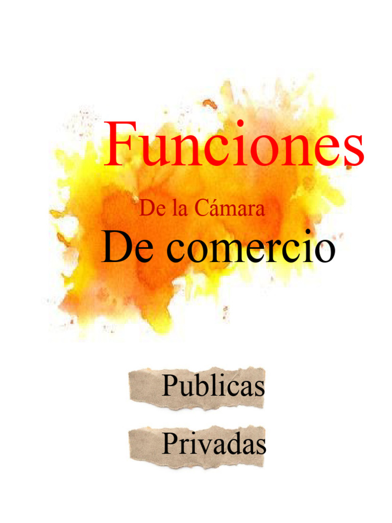 Funciones De Las Camaras De Comercio Pdf Sociedad De