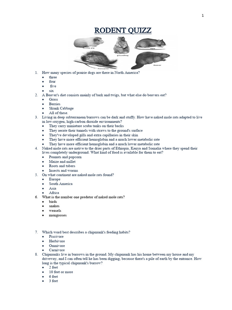 Rodent Quizz | PDF | Zoology