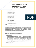 Informe Pesem - S6