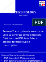 q3 Reverse Transcriptase