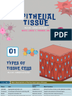 Epithelial Cells