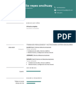 167 Modelo de Curriculum Sin Experiencia