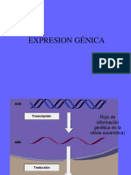 12 Control de La Expresion Genica Lac TRP