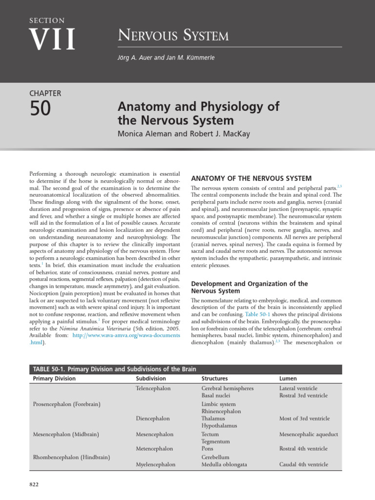 Chapter 50 Anatomy and Physiology of The NS | PDF | Vertebral Column ...