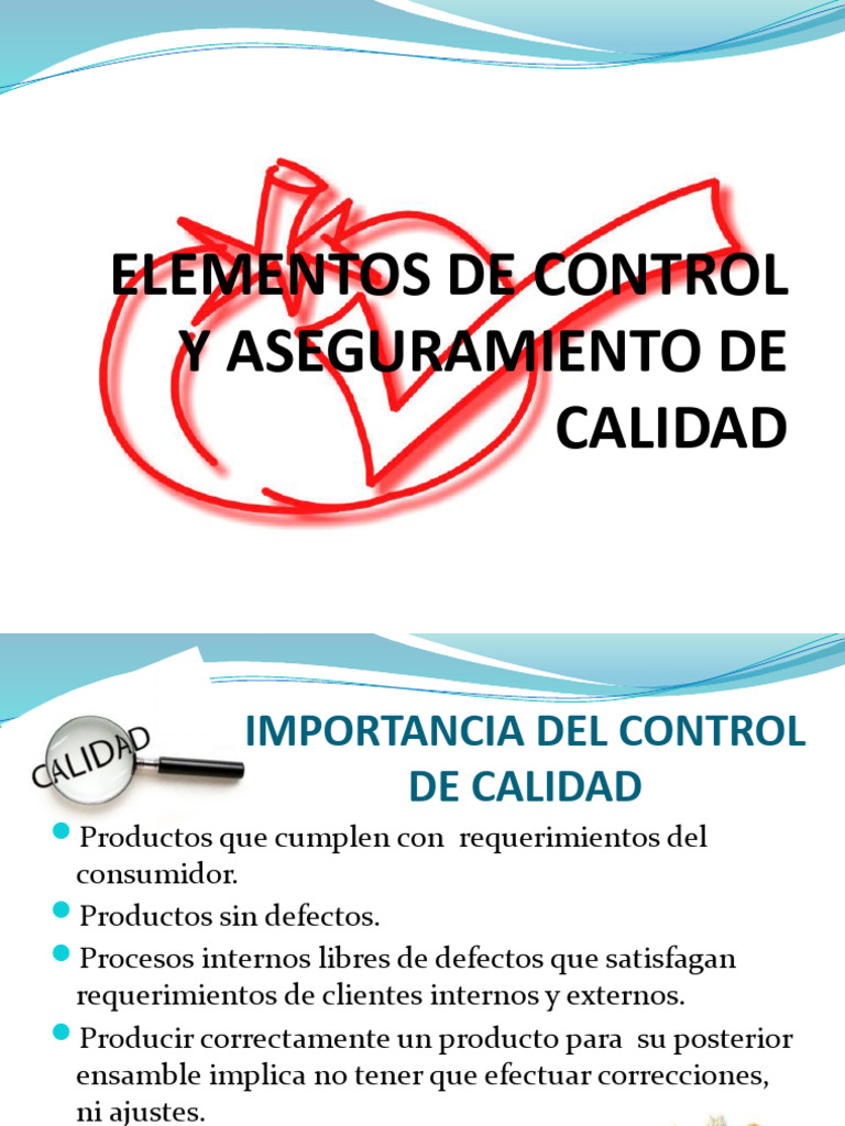 Elementos de Control y Aseguramiento de La Calidad | PDF | Análisis de ...