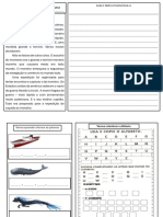 Aula Adapatada - Pronta - Segunda - Dia 01 Abril