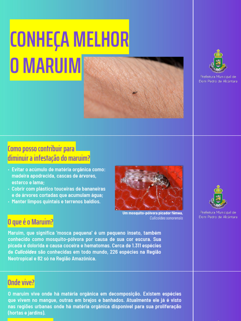 Conhea Melhor o Maruim | PDF