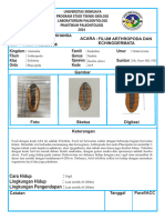 Nama: Nim: Acara:: Nurul Inayah Khansa 03071182328008 Filum Arthropoda Dan Echinodermata