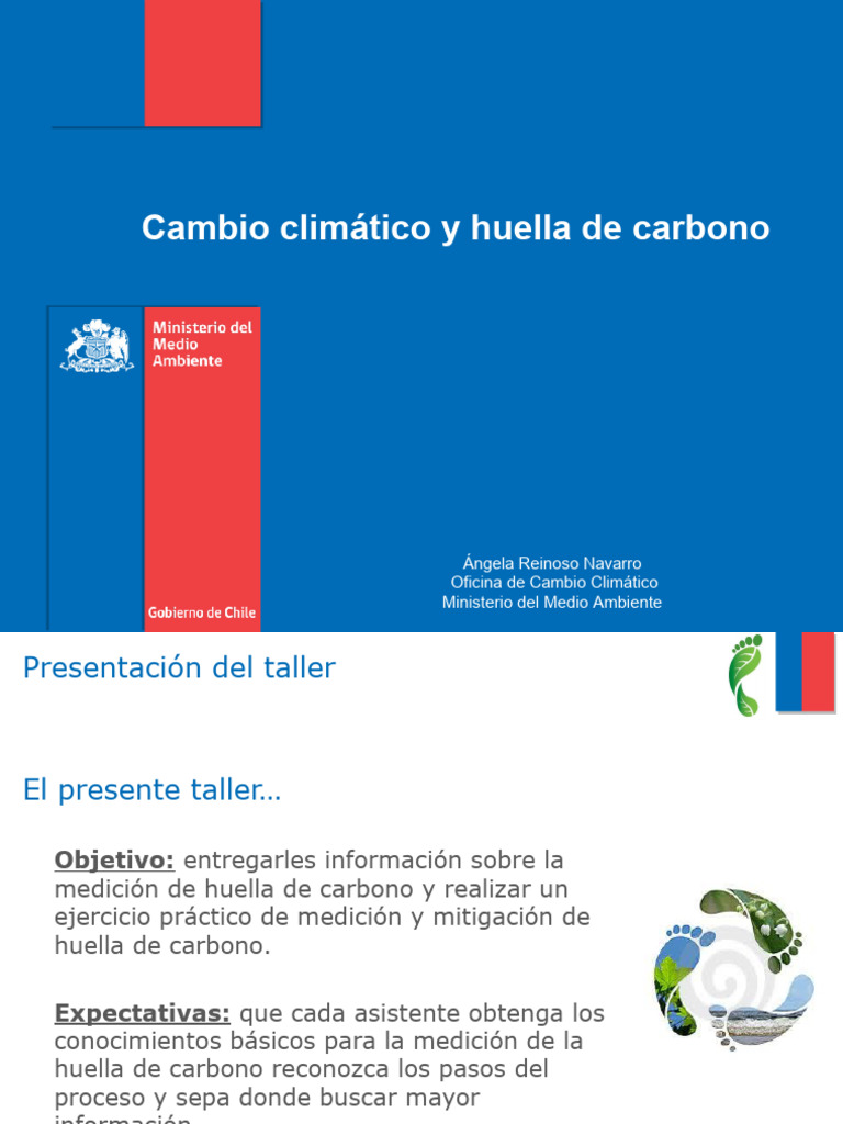 Articulo Cambio Climatico | PDF | Huella de carbono | Cambio climático
