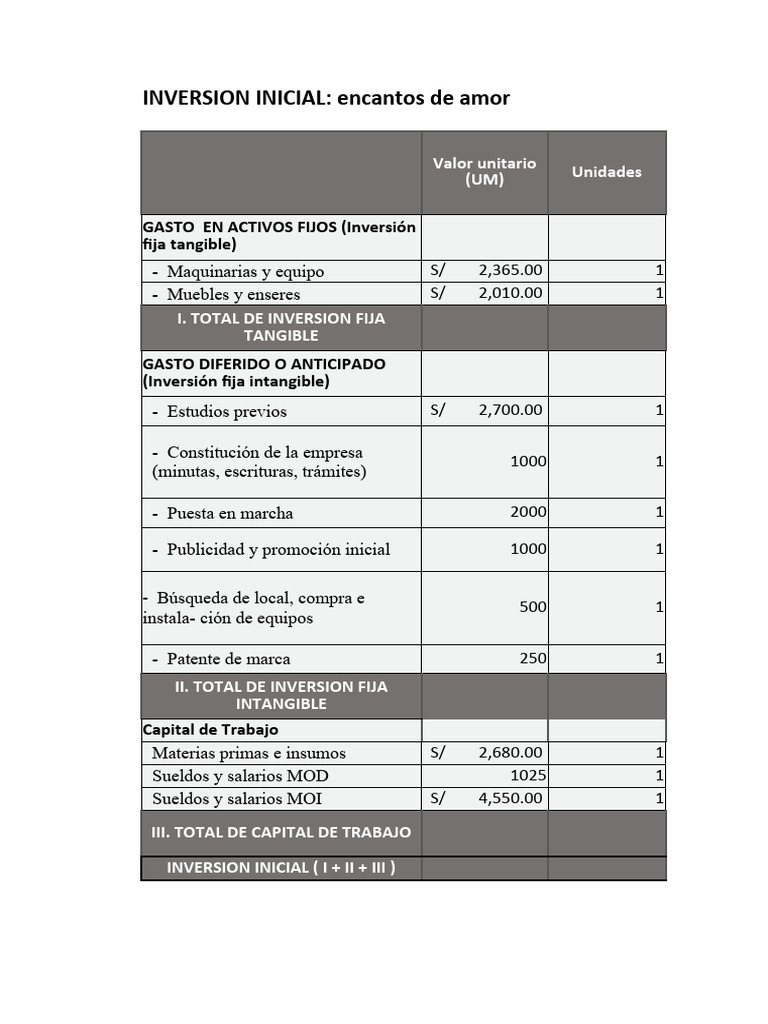 Estructura Inversion Inicial | PDF