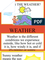 WEATHER