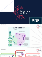 00a Mitosis 2024 Udalba Med