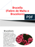 Brucellosis