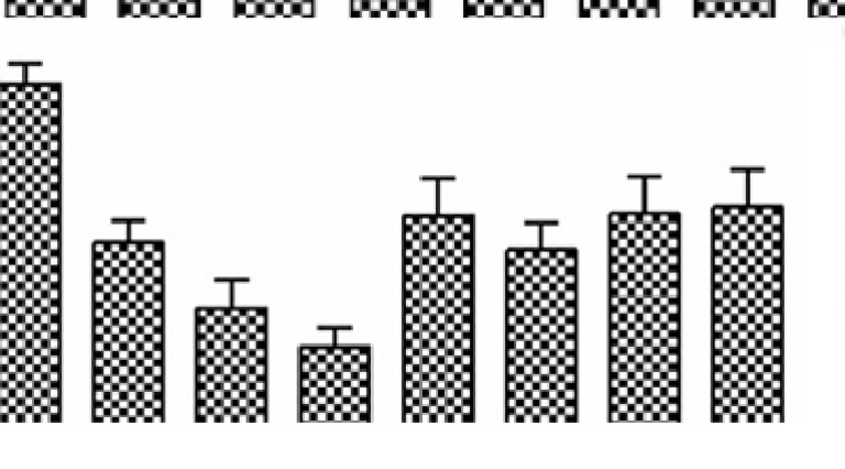 Fiber Graph 3 | PDF