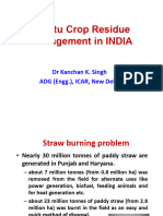 In-Situ Crop Residue Management in INDIA - Dr. KK Singh