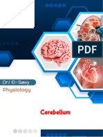 Man Sem 4 Cerebellum