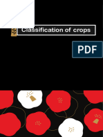 Classification of Crop