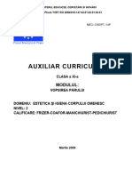 Auxiliar Vopsirea Parului Tehnici de Lucur