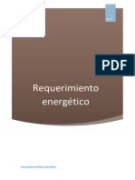 Req Energético