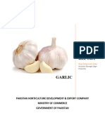 Product Report Garlic