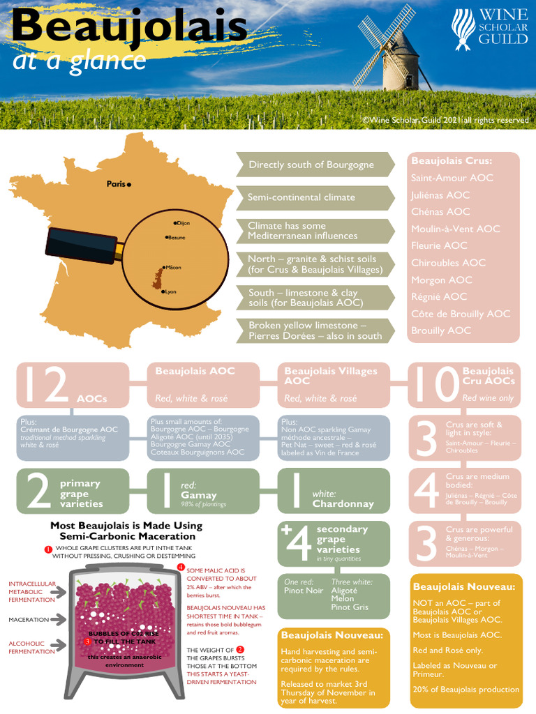 Beaujolais at A Glance Infographic | PDF | Rose | Wine
