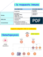 Tema 1 - Células y Órganos