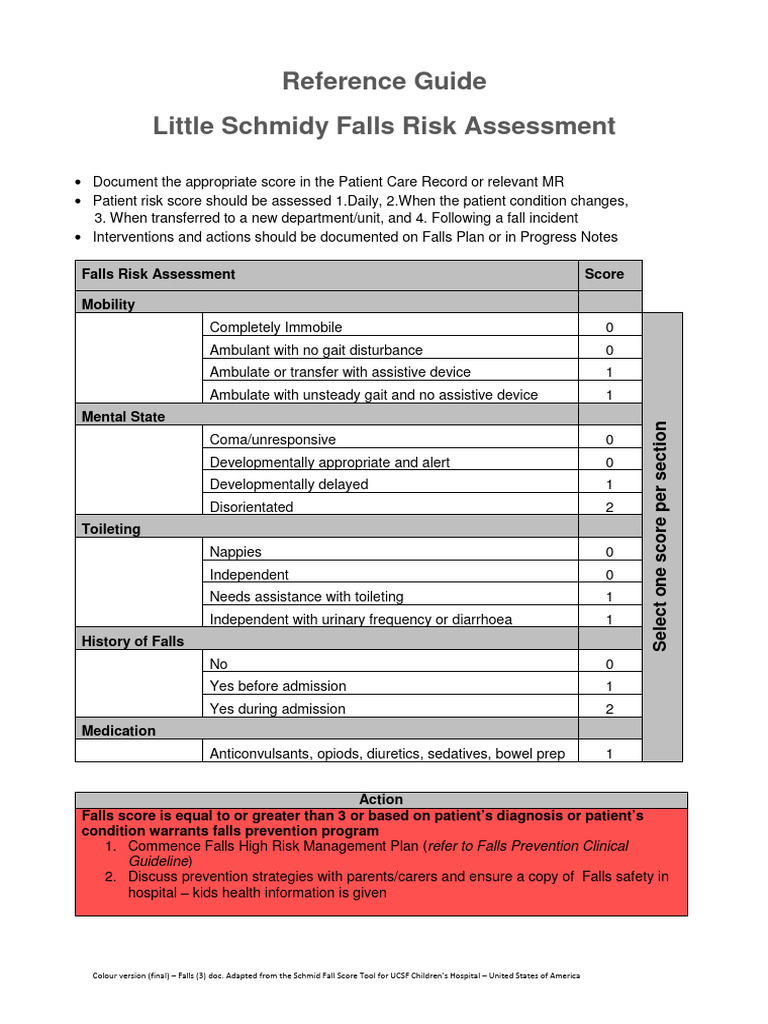Little Schmidy Falls Risk Assessment Guide | PDF | Patient | Public ...