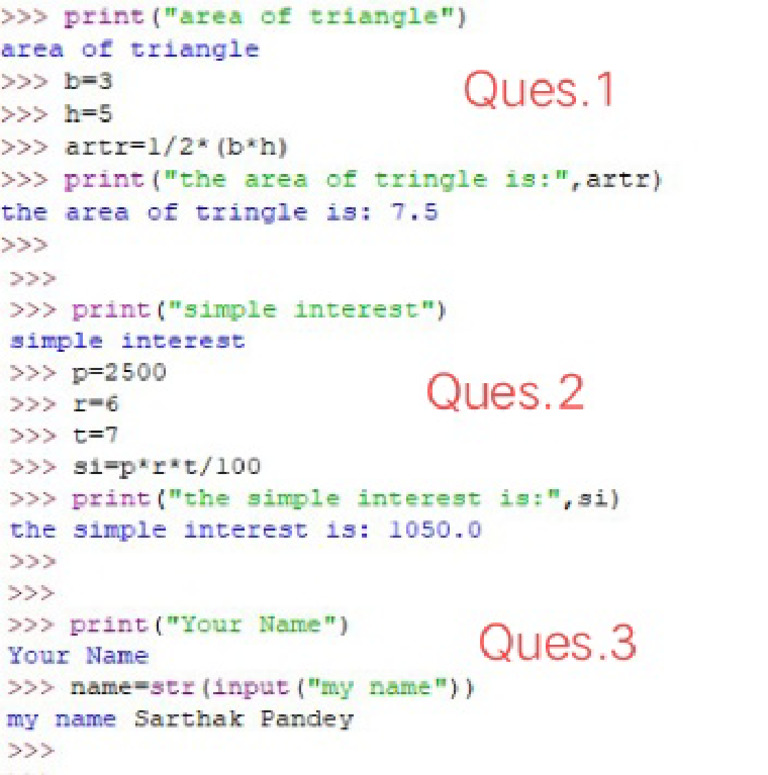 Python Practice Questions Vacation Work | PDF