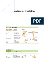 Appendicular Skeleton 1-1