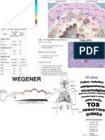 Vasculitis Pulmonares