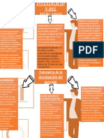 Mapa Conceptual Mercadeo