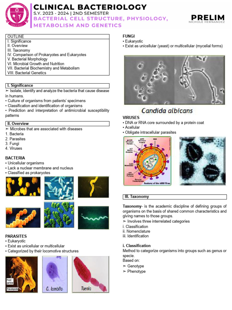 Clinical Bacteriology Lecture (W02) PDF Cell (Biology) Gene